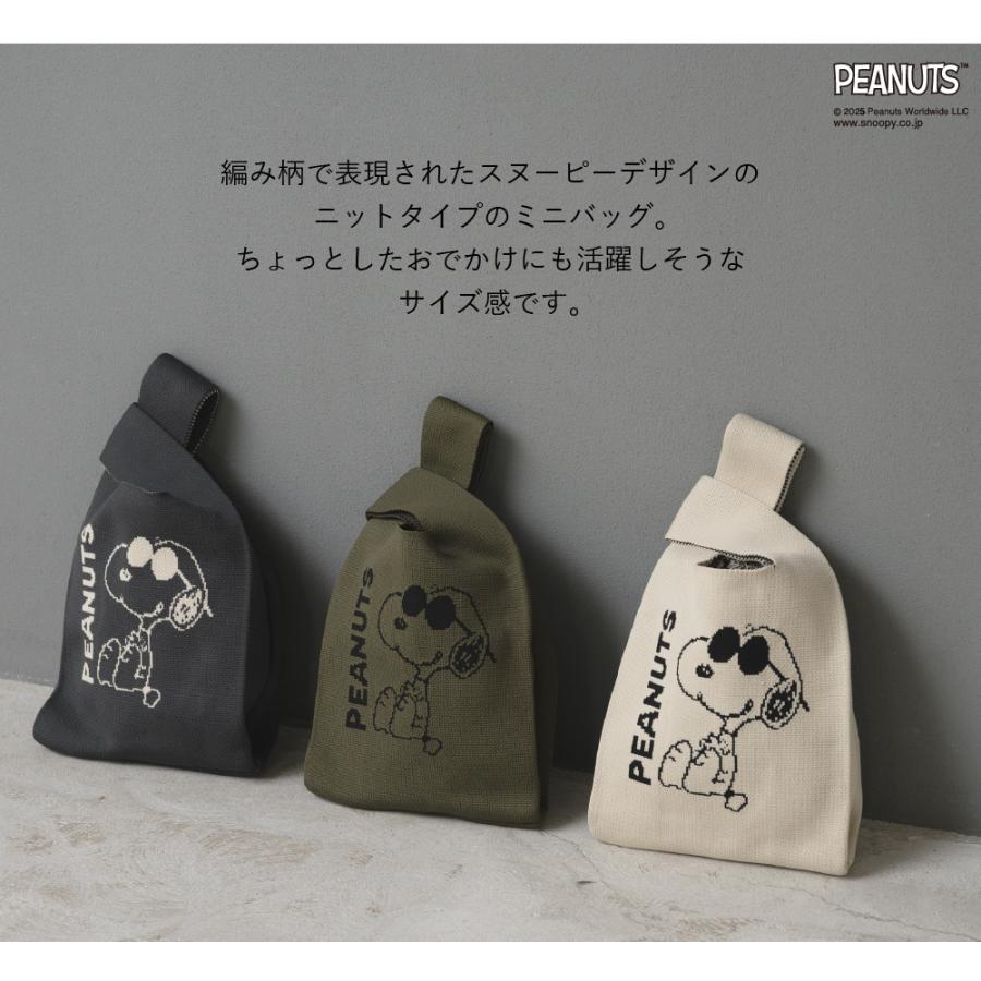 PEANUTS 【パッケージ入り】ニットミニバッグ スヌーピー トートバッグ
