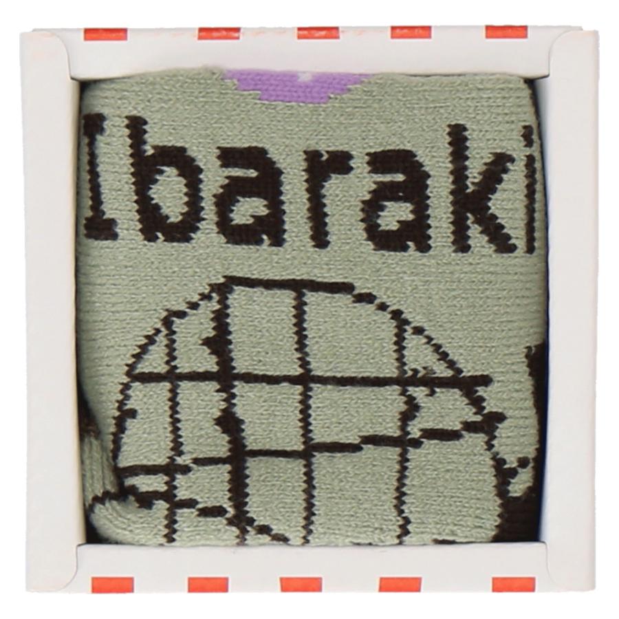 47 Japan Rediscovery ソックス 茨城 メロン 47ジャパン 靴下 くつ下