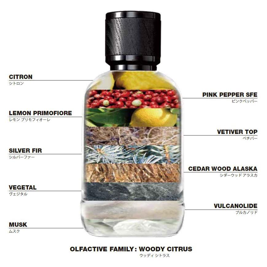 正規輸入代理店】DSQUARED2 ディースクエアード2 ウッド オーデトワレ