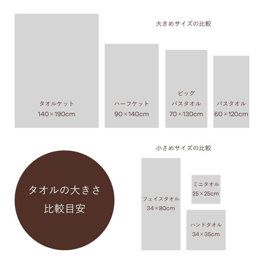 タオルケット キャシーマム シングル 140cm×190cm ハワイアンキルト柄