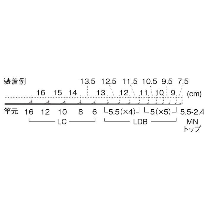 Fuji PLDBSG16151 コマセ真鯛(ライト)セット ガイドセット トップ