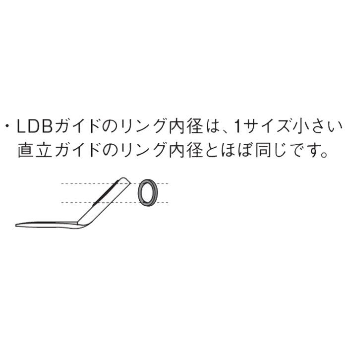Fuji T-LDBSG4P LDBガイド リングサイズ4 富士工業 チタンフレームSiC