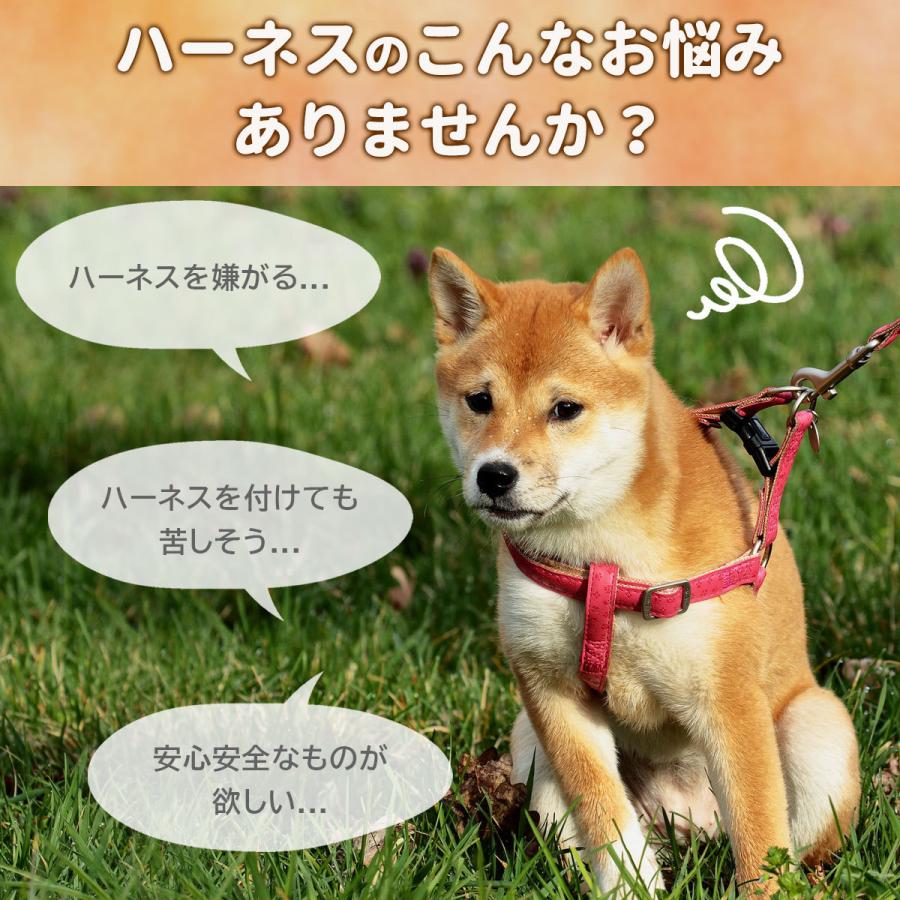 ハーネス 犬 おしゃれ かわいい 胴輪 リード 首輪 小型犬 中型犬 脱げない 簡単 散歩 お出かけ ペット 光る ドッグ｜intrace｜08