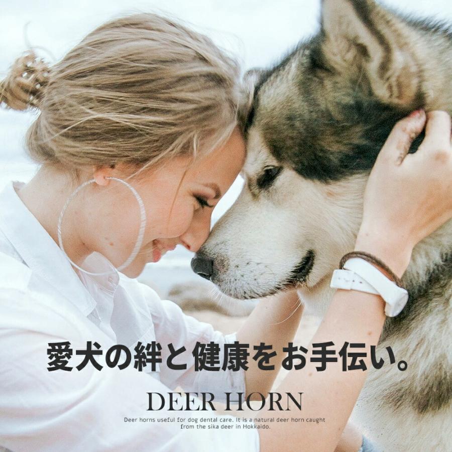 送料無料 Mサイズ 約25cm 細いタイプ 中型犬 鹿角 鹿の角 ペット 北海道産 犬のおもちゃ 誕生日プレゼントやしつけ いたずら防止にエゾシカ 犬のおやつ Horn M 犬服と猫グッズのお店choice 通販 Yahoo ショッピング