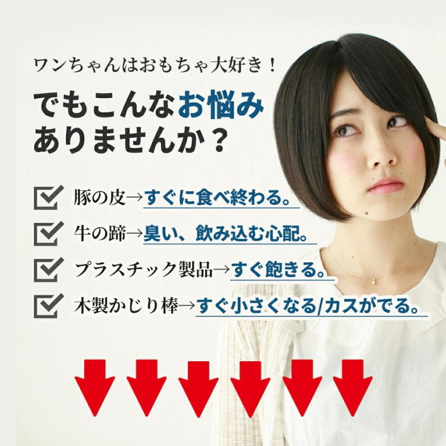 格安 送料無料 Xsサイズ 約15cm 細いタイプ 小型犬 鹿角 鹿の角 ペット 北海道産 犬のおもちゃ 誕生日プレゼントやしつけ いたずら防止にエゾシカ 犬のおやつ Cisama Sc Gov Br