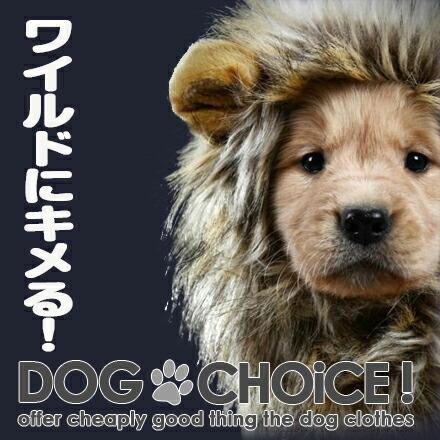 送料無料 秋冬モデル これで百獣の王に仲間入り カット不要 かぶるだけでライオンに大変身 目立ちまくり耳付き帽子 ライオン たてがみ 犬 タテガミ Lidog 2 犬服と猫グッズのお店choice 通販 Yahoo ショッピング