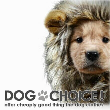 送料無料 秋冬モデル これで百獣の王に仲間入り カット不要 かぶるだけでライオンに大変身 目立ちまくり耳付き帽子 ライオン たてがみ 犬 タテガミ Lidog 2 犬服と猫グッズのお店choice 通販 Yahoo ショッピング