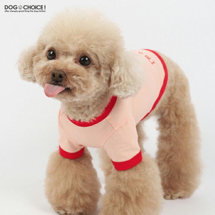 オレンジチェリーの犬の服