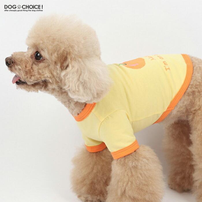 オレンジチェリーの犬の服