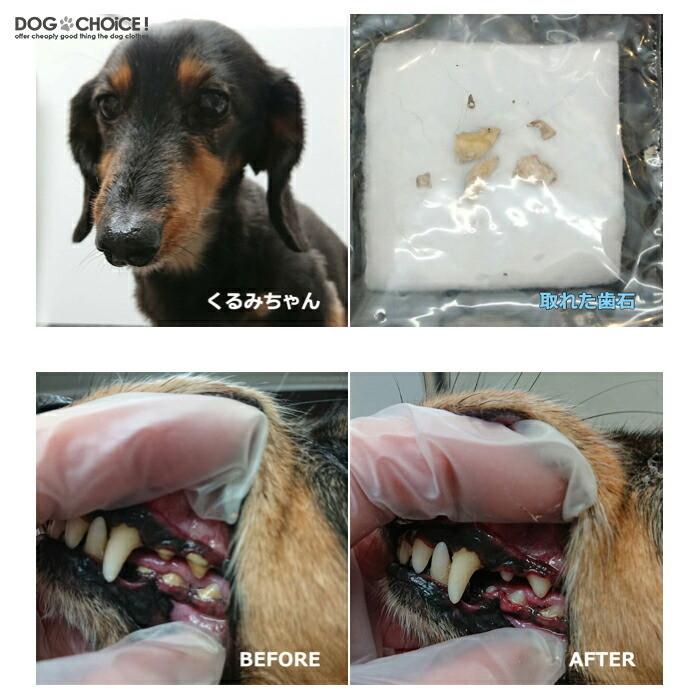 リペアン デンタルクリーナー 歯石対策 歯磨き粉 犬 デンタルケア 犬用 4回分 猫