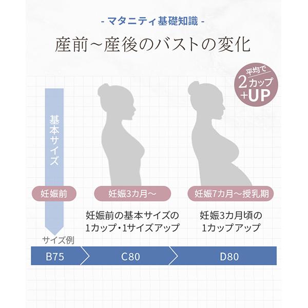 犬印本舗 フロントオープン レース 授乳ブラ マタニティブラジャー M L おすすめ 垂れ防止 妊娠 下着 可愛い おしゃれ 締め付けない 授乳ブラジャー 授乳 前開き｜inujirushi｜11