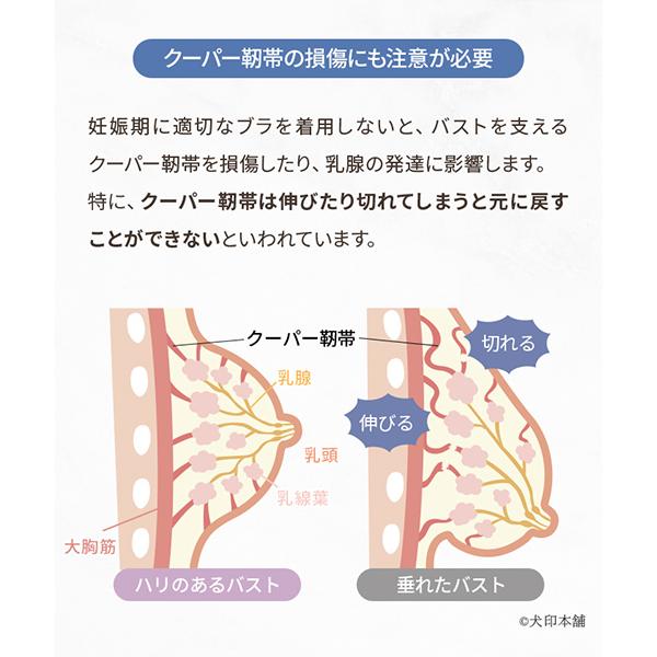 犬印本舗 産前 産後 エアリー 授乳ブラ マタニティブラジャー M L おすすめ 妊娠 下着 おしゃれ 可愛い 締め付けない ノンワイヤー 授乳ブラジャー 出産準備｜inujirushi｜14