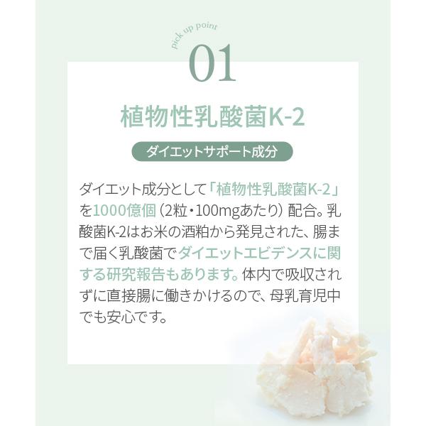 INUJIRUSHI 爆買 【メール便可】犬印本舗 ボディサポート サプリメント
