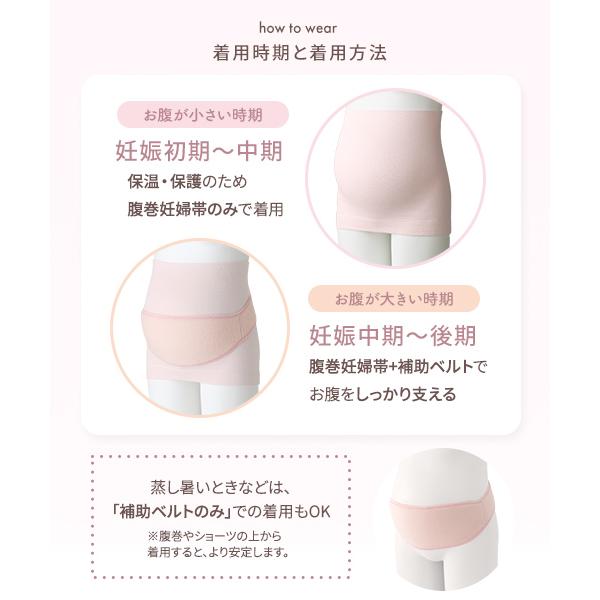 INUJIRUSHI 犬印本舗 マタニティ 妊婦帯 補助ベルト セット 腹巻