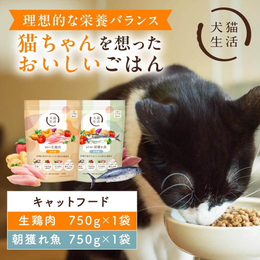 犬猫生活　全年齢2袋 商品一覧 | 犬猫生活公式ショップ