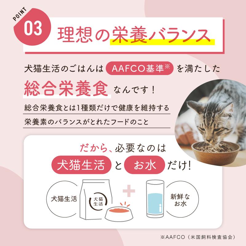 犬猫生活☆キャットフード オールステージ 国産の生鶏肉味 朝獲れ魚味 合計2袋 犬猫生活 【特典付き】犬猫生活 キャットフード オールステージ
