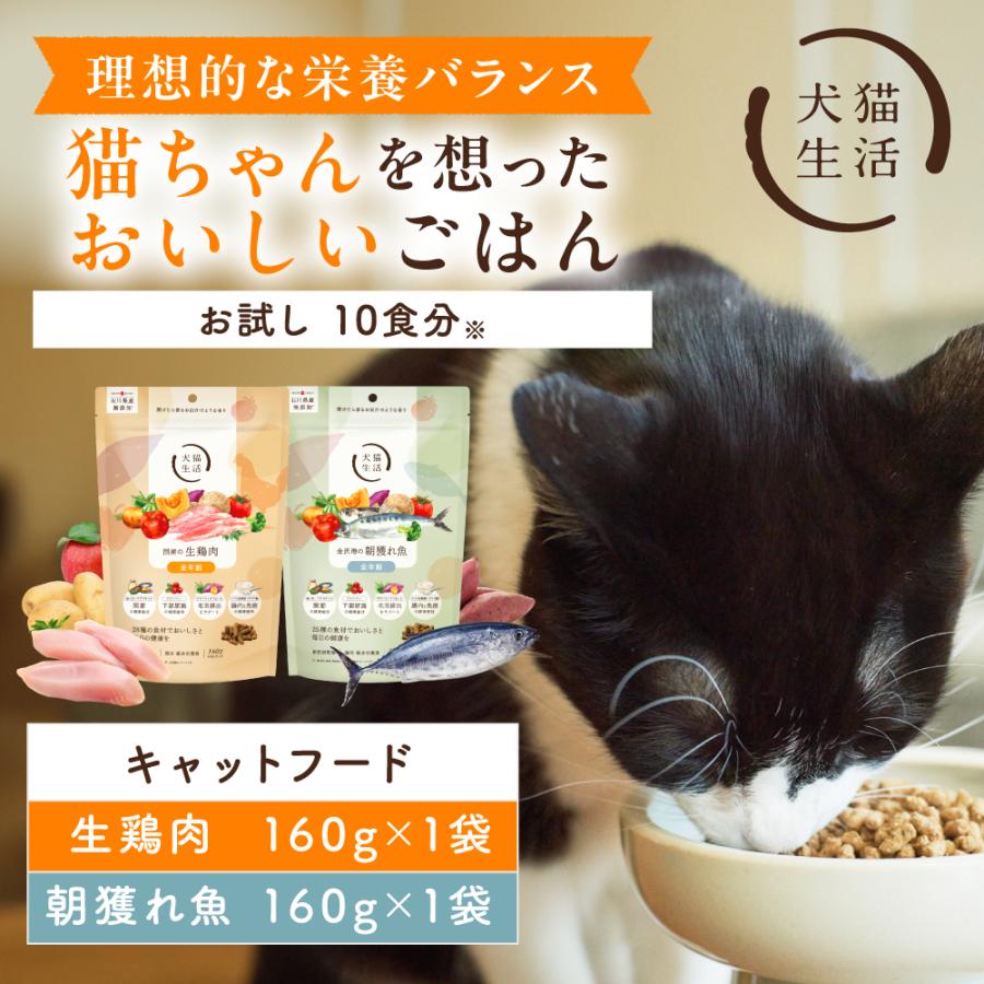 犬猫生活　ドッグフード KABU＆プラス寄付専用】【定期支援】犬猫生活 ドッグフード