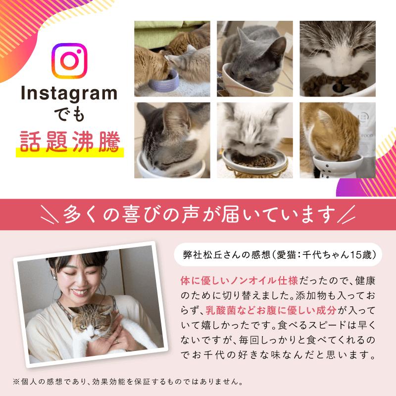 犬猫生活 【特典付き】犬猫生活 キャットフード オールステージ