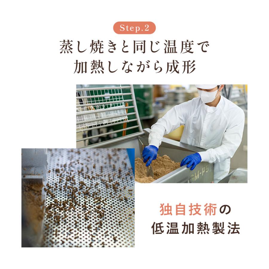 犬猫生活 キャットフード 無添加 ドライ 猫 オールステージ 生