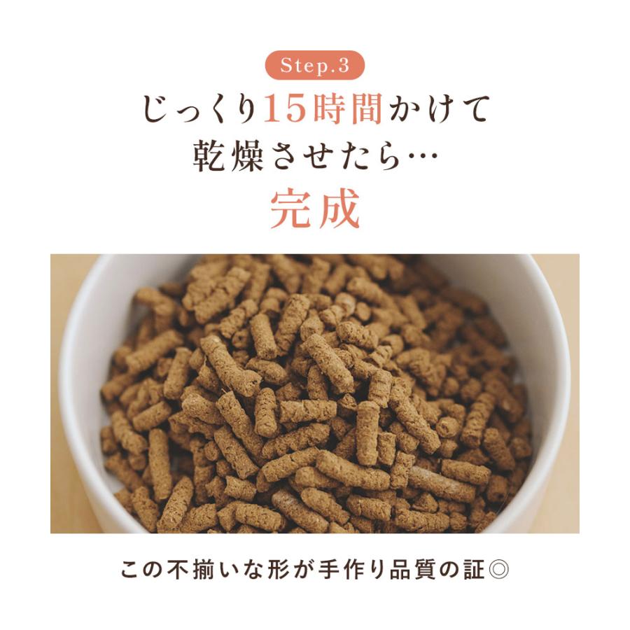 犬猫生活 キャットフード 無添加 ドライ 猫 オールステージ 生