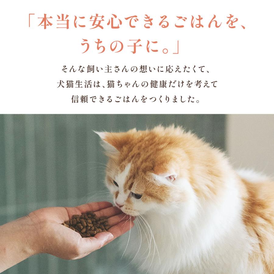 犬猫生活 キャットフード 無添加 ドライ 猫 オールステージ 生