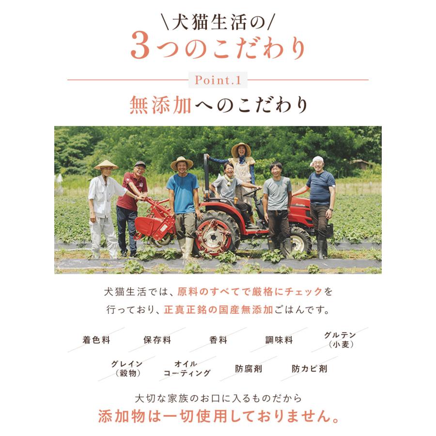 犬猫生活 キャットフード 無添加 ドライ 猫 オールステージ 生