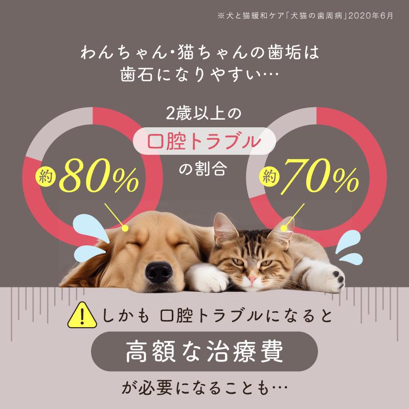 犬猫生活 【特典付き】犬猫生活 デンタルふりかけ 犬猫兼用 獣 犬猫生活 【特典付き】犬猫生活 デンタルふりかけ 犬猫兼用 獣