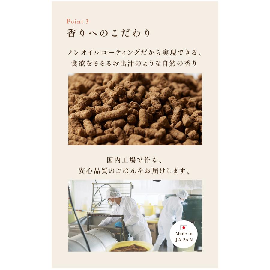 犬猫生活　国産生鶏肉　7歳以上のシニア　ドッグフード 犬猫生活 【特典付き】犬猫生活 ドッグフード シニア 国産の生