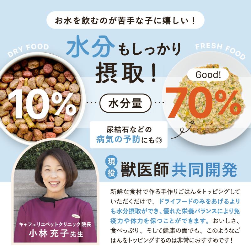 犬猫生活 【犬猫生活公式】犬用 手作りごはん ポーク味 150g×2袋 犬猫生活 【犬猫生活公式】犬用 手作りごはん ポーク味 150g×2袋