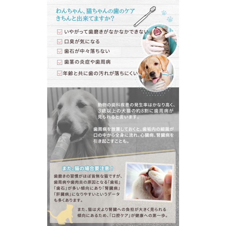 新発売 犬用歯磨き 無味無臭 安全安心 無添加 犬猫用歯磨き 猫用歯磨き 歯石除去 犬 口臭 犬 歯垢除去 犬用 歯磨きミスト ピュアツルミスト 80ml Puretsurumist 犬猫博士の研究所 通販 Yahoo ショッピング