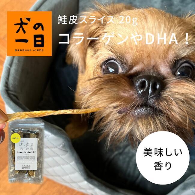 犬　おやつ　ガム　無添加　鮭皮スライス 20g | 