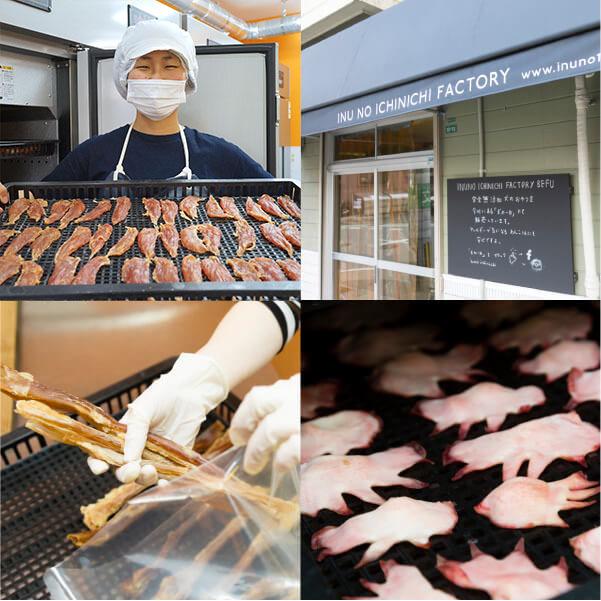 犬　おやつ　ガム　無添加　鮭皮スライス 20g |  | 08