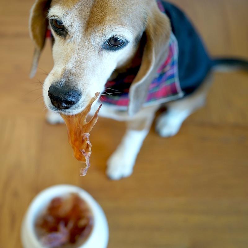 犬 おやつ ガム 無添加 国産 デンタルケア 歯みがきガム 鶏とさか 30g ジャーキー ヒアルロン酸 とさか |  | 01