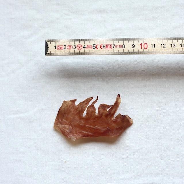 犬 おやつ ガム 無添加 国産 デンタルケア 歯みがきガム 鶏とさか 30g ジャーキー ヒアルロン酸 とさか |  | 02