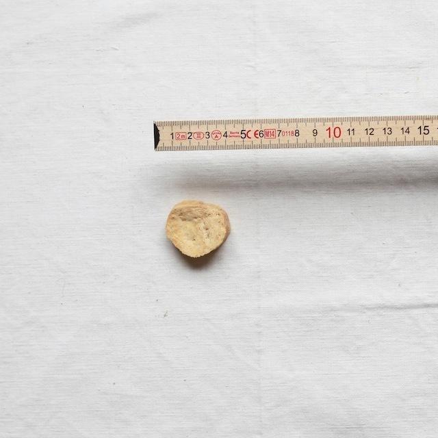 犬　おやつ　クッキー　無添加　国産　九州産・犬用　鶏肉＆おからクッキー 10枚（ありたどり） |  | 01