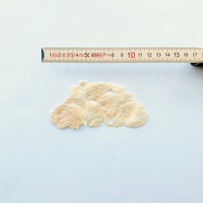 犬 おやつ 無添加 国産  ダイエット ささみ ヘルシー ペット 九州産・鶏せんべい 20g（ありたどり） |  | 01