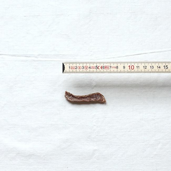 犬　おやつ　ジャーキー　無添加　国産　合鴨ささみスティック 20g　小型犬　スティック |  | 01