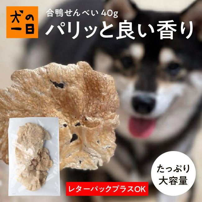 犬 おやつ 無添加 国産 合鴨せんべい 40g 幼犬 シニア犬 低アレルギー 犬の一日 | 