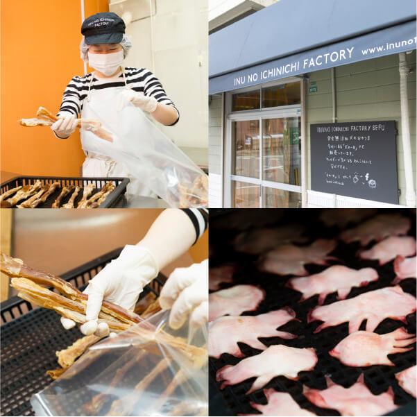 犬　おやつ　魚　無添加　国産　ヨシキリ鮫ブロック 30g |  | 11