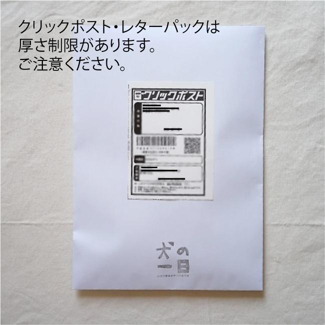 犬　おやつ　煮干し　無添加　国産　九州産・無塩いりこ煮干し 40g |  | 10