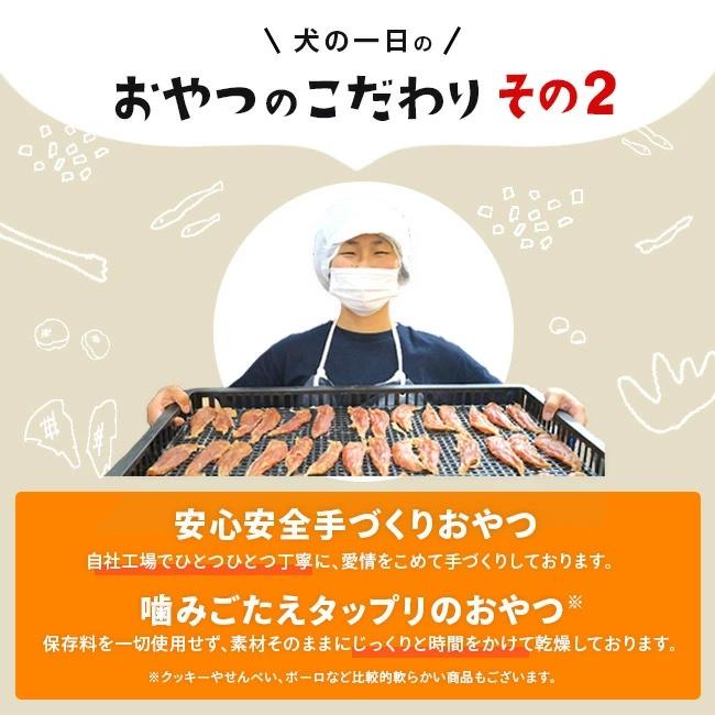 犬　おやつ　トッピング　無添加　国産　いりこふりかけ 40g |  | 05