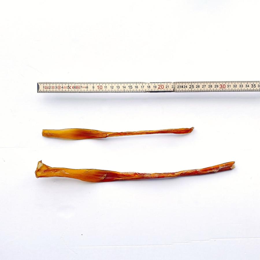 犬 おやつ アキレス ガム 無添加 馬アキレスロング 300gの画像