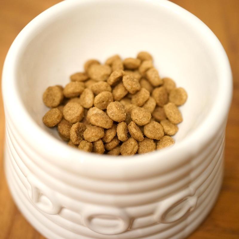 PARTY ANIMAL PET FOOD （パーティアニマルペットフード） ドッグドライフード 2.26kg 犬 ドッグフード オーガニック ペット用 yafo59犬の一日 通販