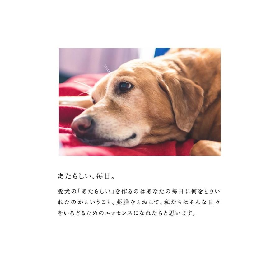 犬ノ薬膳　犬　薬膳　水出し薬膳ドリンク-よもぎ（ぽっちゃり）［5包］ |  | 07