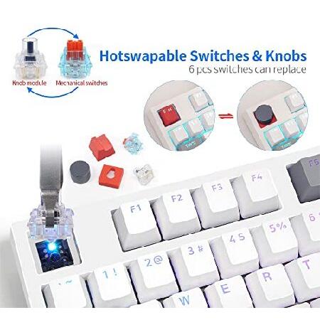 BOYI GK75 Tri-Mode 75% Keyboard with Knob Hot Swappable RGB Gaming Keyboard,2.4Ghz Bluetooth 5.0 Wired Keyboard 80 Keys Programmable Mechanical Keyboa