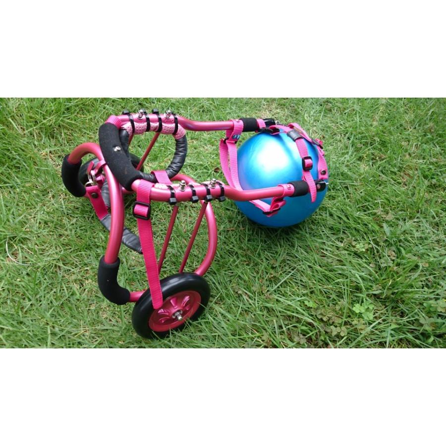 オーダーメイド超小型犬用車椅子 : 犬車椅子桜花 - 通販 - Yahoo