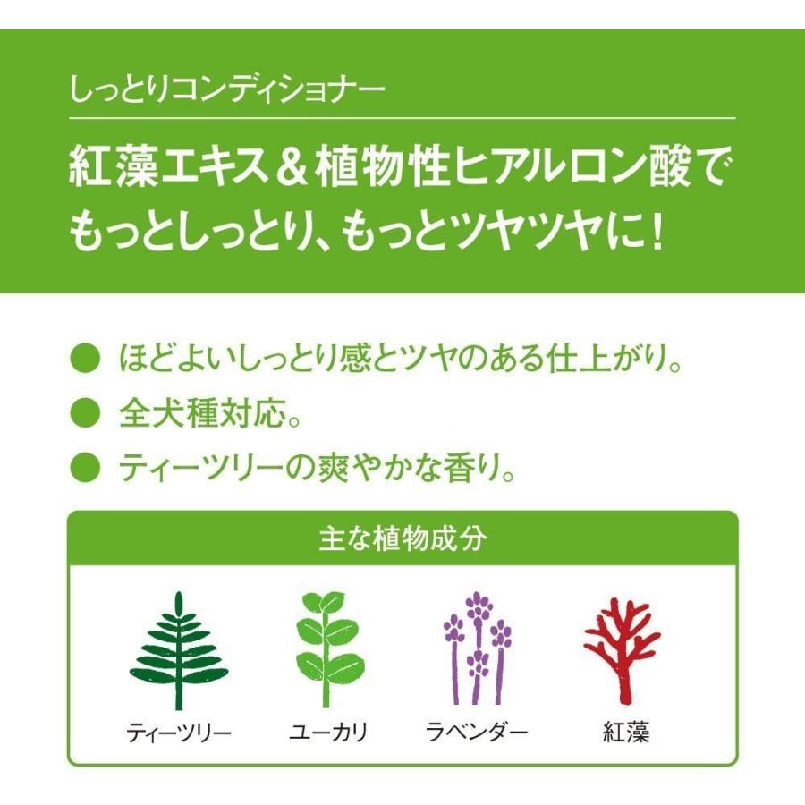 APDC ティーツリーシャンプー&コンディショナーセット 5Lの画像