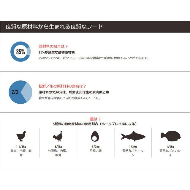 【正規品】オリジン オリジナル 6kg  【スマイルエッグ付】｜inuomoi｜03
