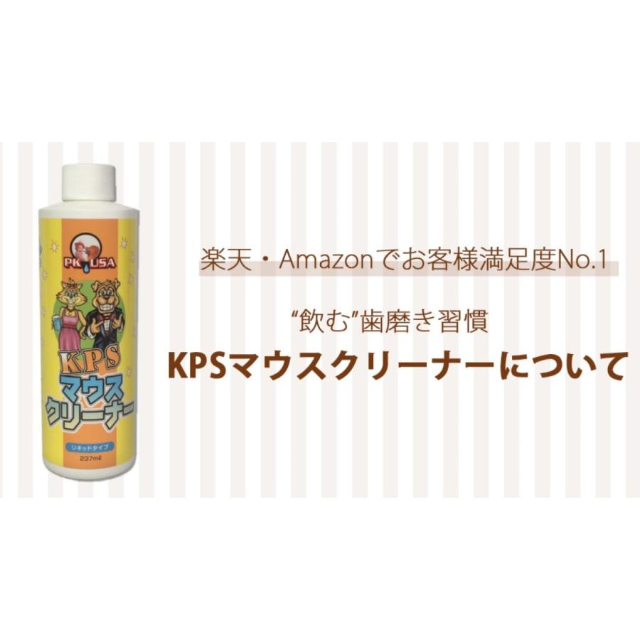 マウスクリーナー 473ml マウスクリーナー シトラスの香り 473ml×2