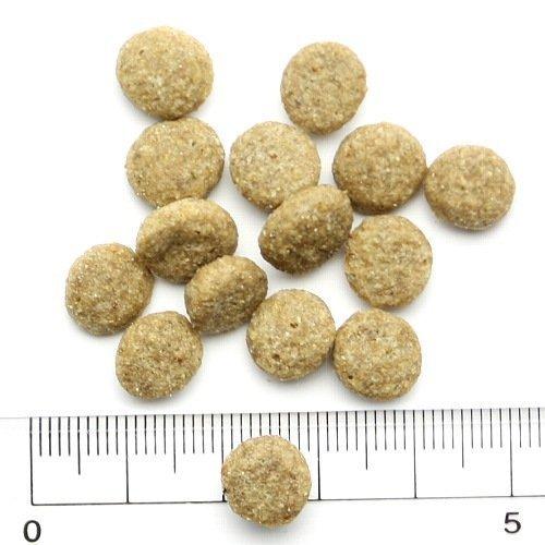 ナチュラルハーベスト（NATURAL harvest） フラックス [結石ケア用食事